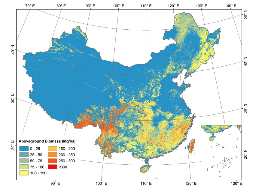 China forest AGB map(2019)