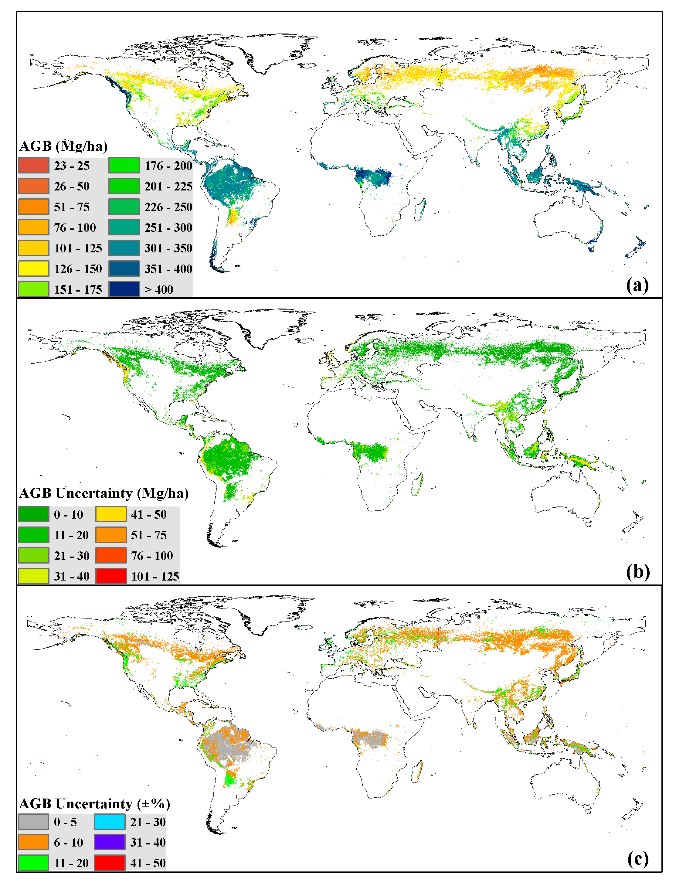 Global forest AGB map