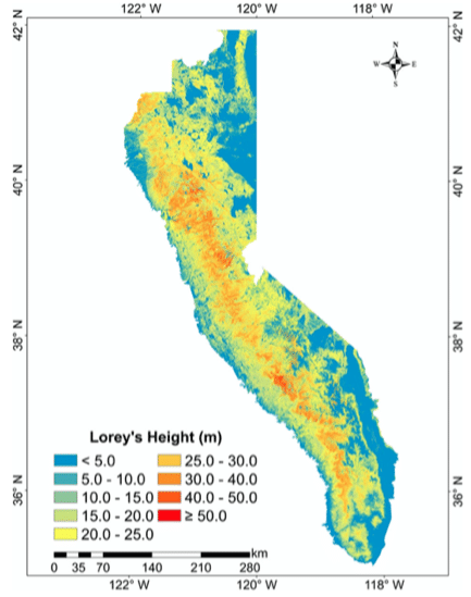 Forest tree height across the Sierra Nevada