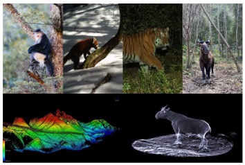 Animal 3D Ecology: Ecosystem Structure Reconstruction & Application